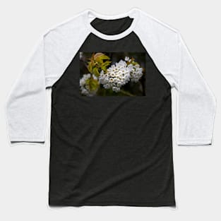 Japanese Cherry blossom in a shaft of light Baseball T-Shirt